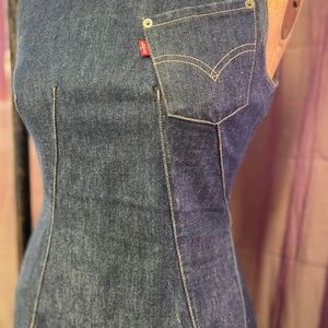 Levi dress